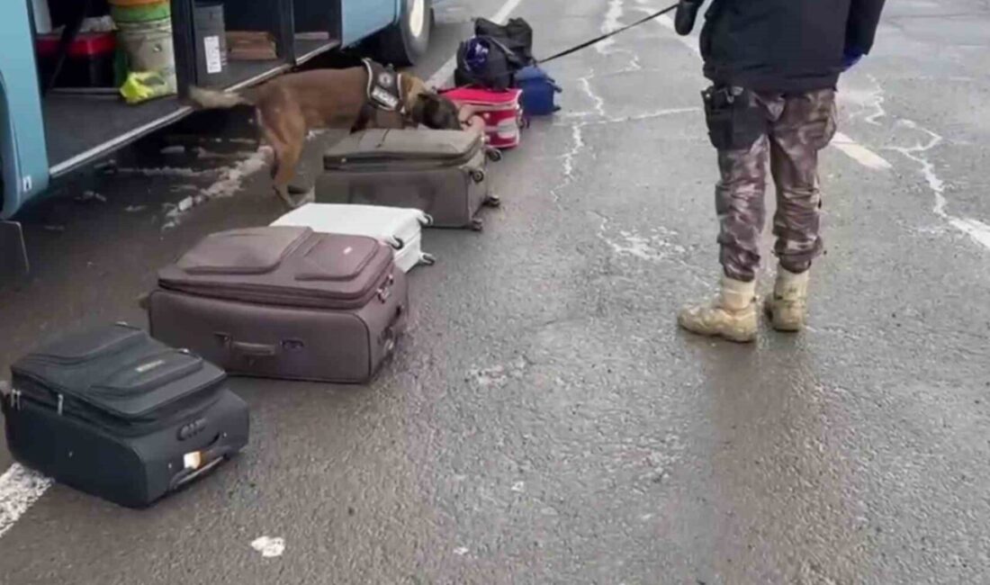 Erzurum’da Narkotik Ekipleri, Uyuşturucu Tacirlerine Geçit Vermedi Erzurum Emniyet Müdürlüğü Narkotik Suçlarla Mücadele ekipleri, 1 kilo 350