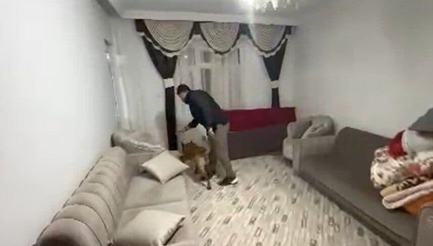 Gaziantep’te Uyuşturucu Operasyonunda İki Şüpheli Tutuklandı Gaziantep'te düzenlenen uyuşturucu operasyonunda, Narkotik Suçlarla Mücadele Şube Müdürlüğü ekipleri