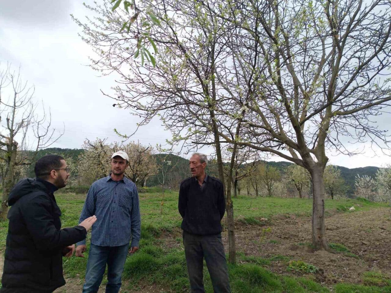 Gölpazarı İlçe Tarım Orman Müdürü Nurettin Kartal ve ekibi, meyve