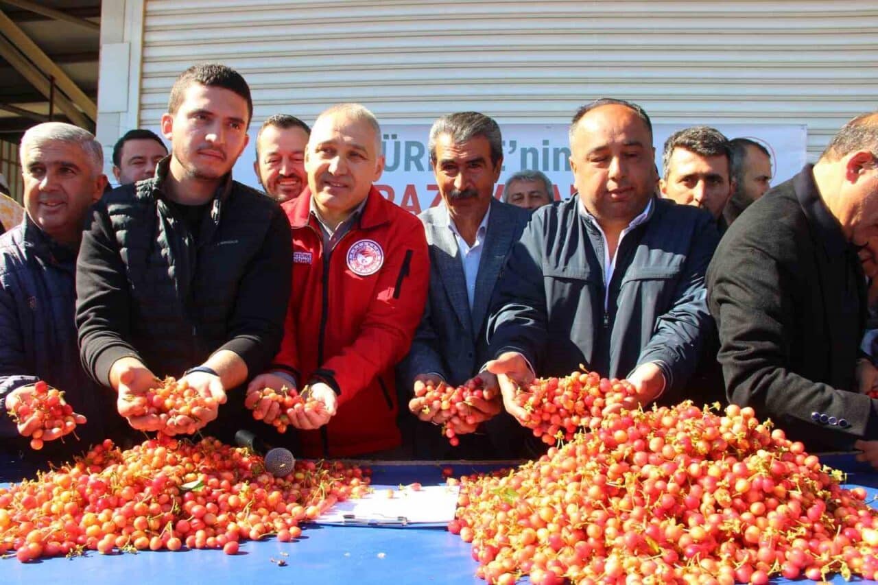 Kuzey Yarımkürenin ilk kirazı, Manisa’nın Sancaklıbozköy Mahallesi'nde hasat edildi. Açık