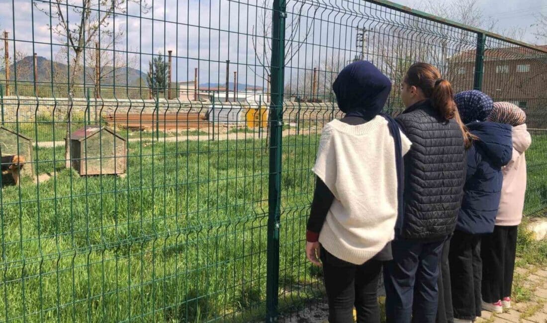 Osmaneli İmam Hatip Lisesi Öğrencileri, Hayvan Barınağında Unutulmaz Bir Gün Geçirdi Bilecik'in Osmaneli İlçesi'ndeki Şehit Osman Er Anadolu İmam Hatip Lisesi