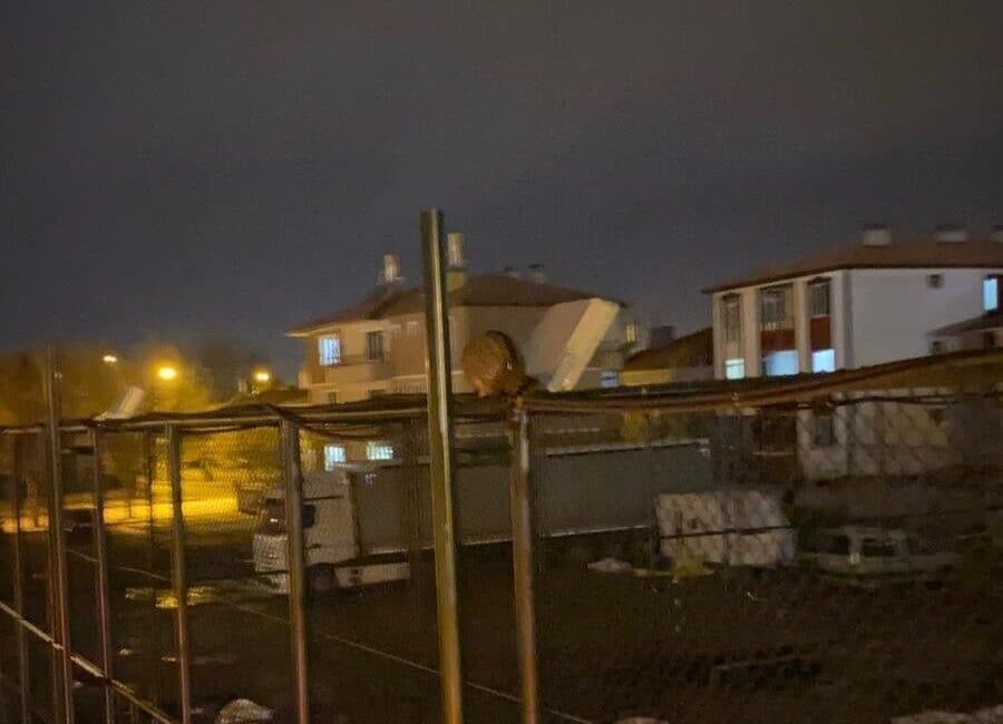 Erzincan’da Aydınlatma Direğinde Mahsur Kalan Kedi, İtfaiye Ekipleri Tarafından Kurtarıldı Erzincan'ın İnönü Mahallesi'ndeki parkta bir aydınlatma direğinde mahsur kalan kedi,