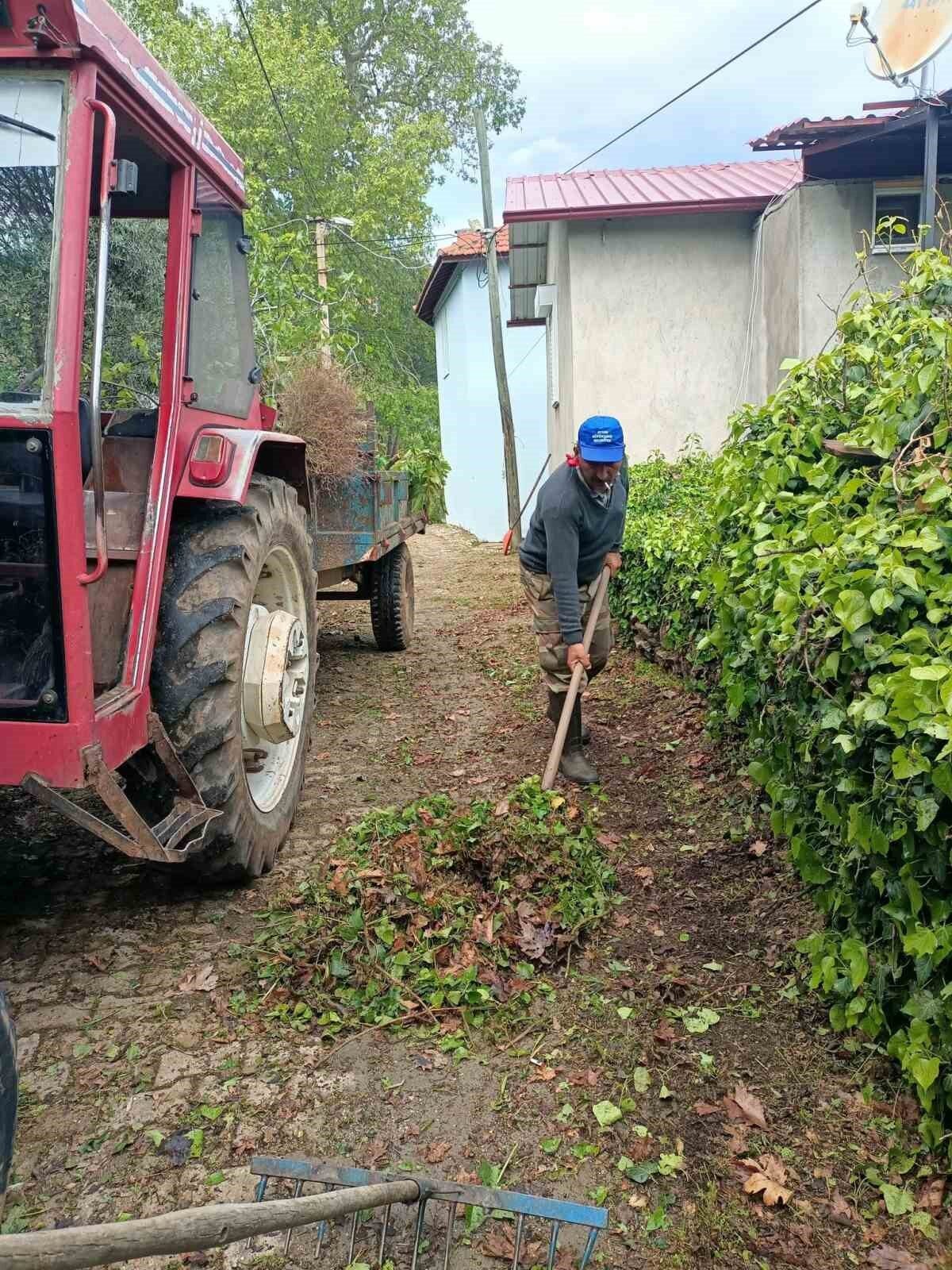 Karacasu Belediyesi, Kahvederesi Yaylası'nda temizlik ve ot biçme çalışmaları gerçekleştirdi.