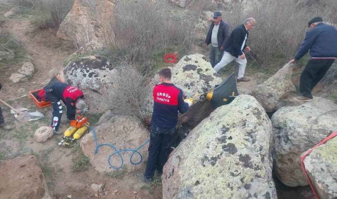 Nevşehir’de Kayalıklar Arasında Sıkışan Tosun Saatler Süren Operasyonla Kurtarıldı Nevşehir’in Ürgüp ilçesindeki Mazı köyünde, Kenan Memiş’in kaybolan tosununun kayalıklara