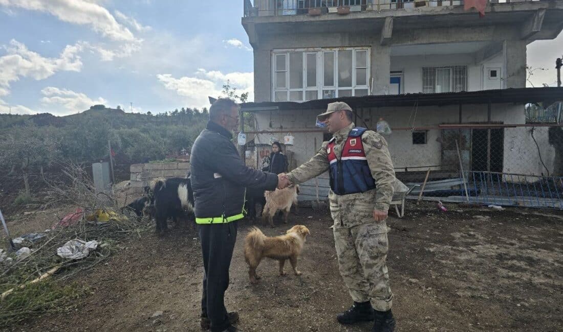 Kilis’in Musabeyli ilçesinde 26 küçükbaş hayvan, Balıklı köyü sakini Ş.Ö.’nün