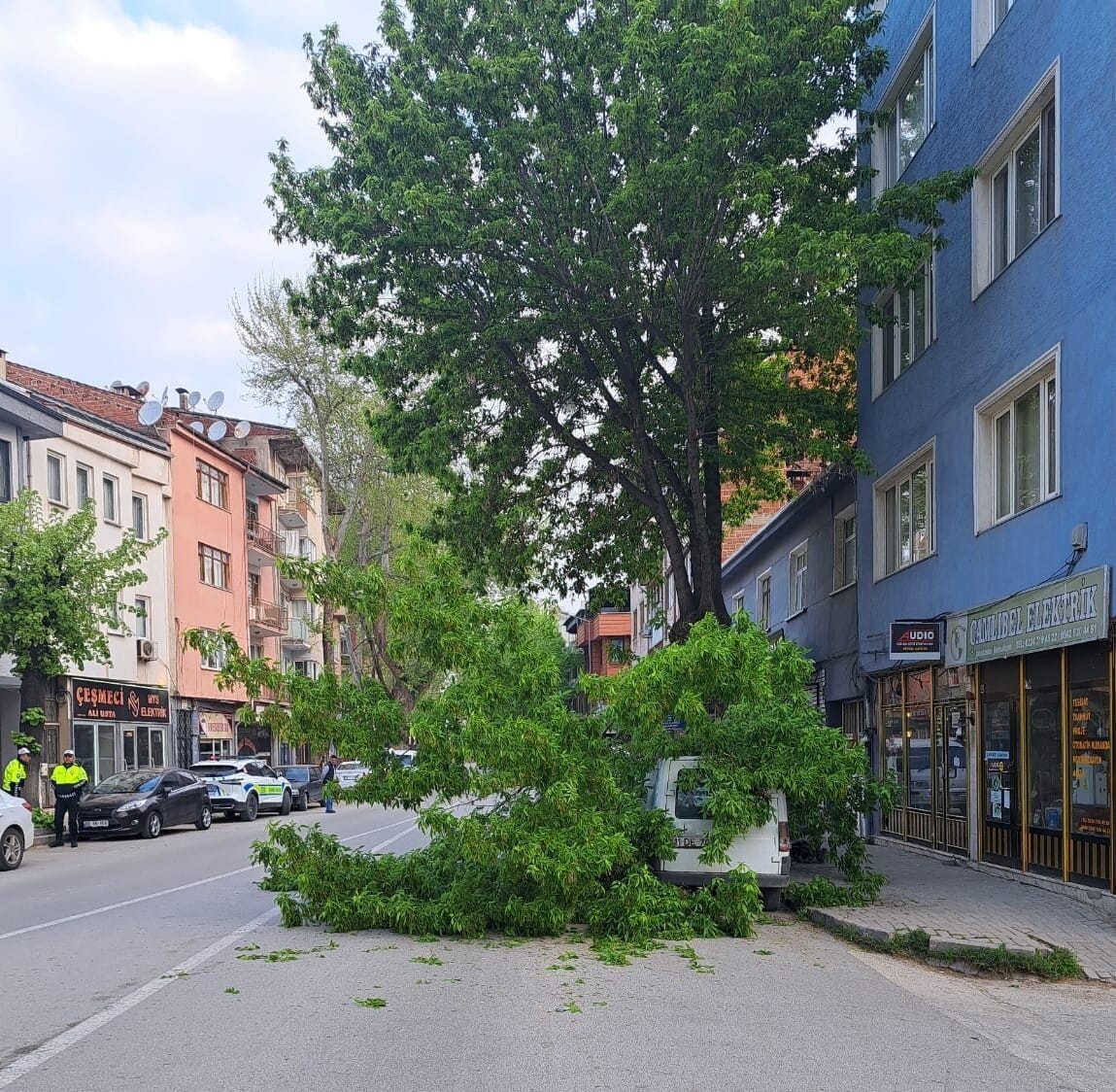 Bursa’nın İnegöl ilçesinde, Mahmudiye Mahallesi'nde bir ağacın dalı park halindeki