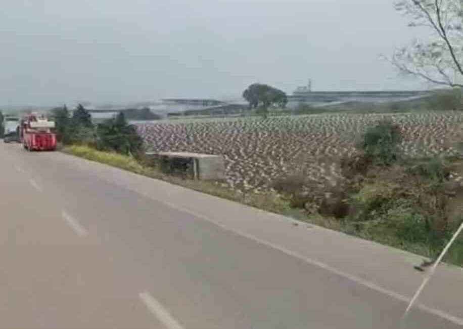 Bursa-Balıkesir Yolunda Kontrolden Çıkan Tır Tarlaya Düşerek Sert Kaza Geçirdi Bursa-Balıkesir Yolu'nda meydana gelen kazada, sürücüsünün kontrolünü kaybettiği bir tır,
