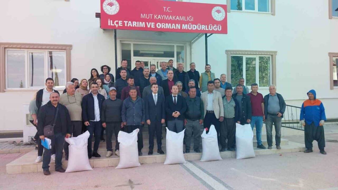 Mersin'in Mut ilçesinde tarımsal üretimi artırmak amacıyla 19 çiftçiye yüzde