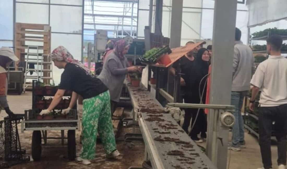 Balıkesir Üniversitesi Öğrencilerinden Çiçekçilik ve Fidancılık Alanında Teknik Gezi Gerçekleştirildi Balıkesir Üniversitesi Havran Meslek Yüksekokulu öğrencileri, Güner Çiçekçilik & Fidancılık