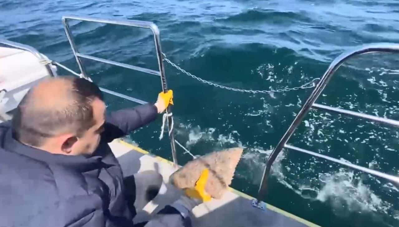 Ordu'da, kalkan balığı avına yasak olduğunda suya serilen ağ, İl