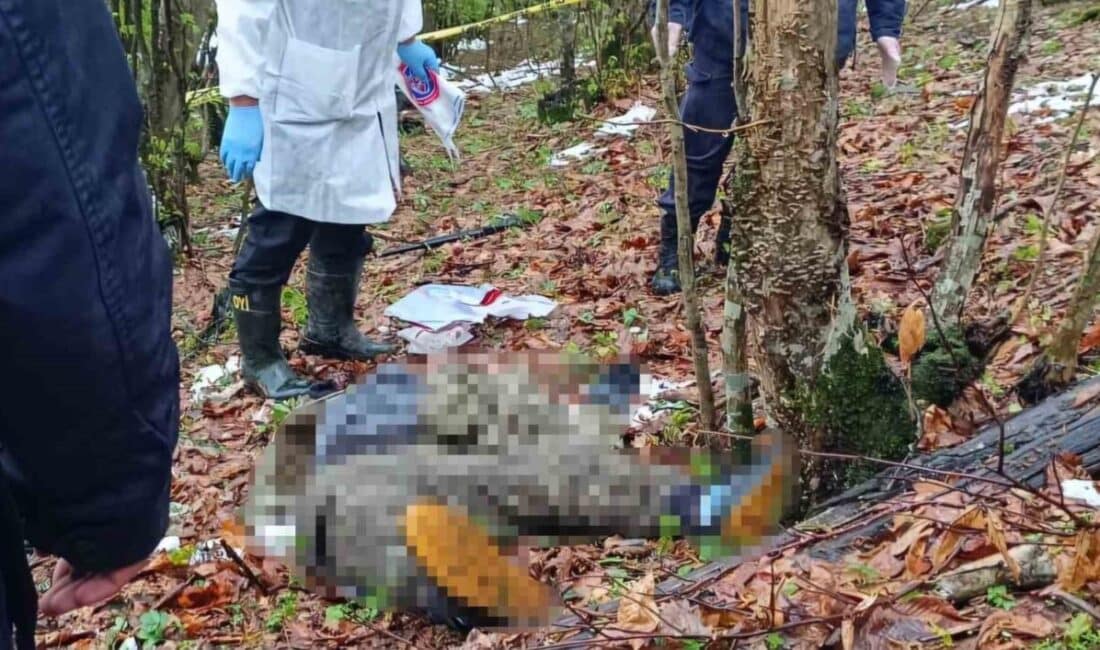 Samsun’da Ormanlık Alanda Tüfekle Vurulmuş 23 Yaşındaki Genç Hayatını Kaybetti Samsun'un Canik ilçesinde, 23 yaşındaki Burhan Güngör ormanlık alanda tüfekle
