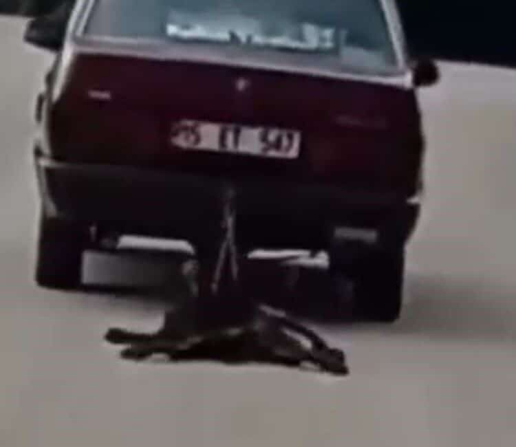 Burdur'un Bucak ilçesinde bir sürücü, sokak köpeğini aracının arkasına bağlayarak