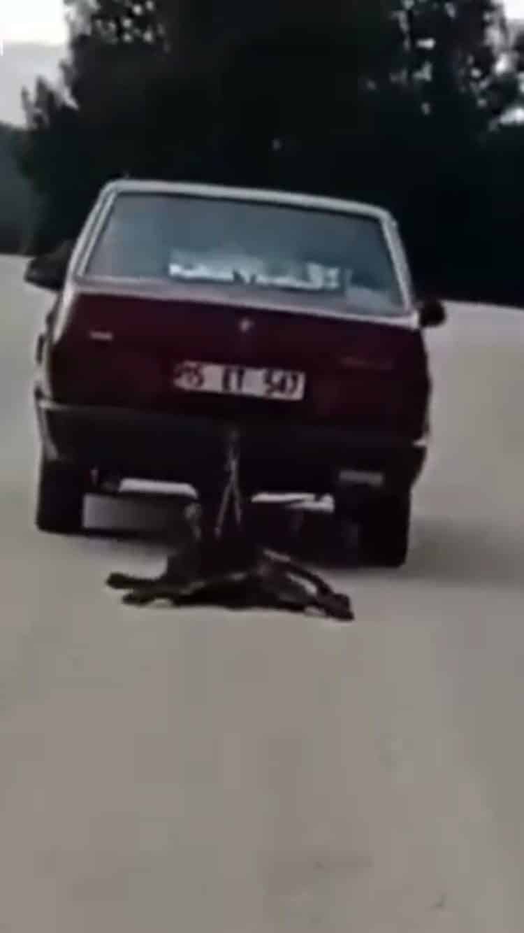 Burdur'un Bucak ilçesinde bir sürücü, sokak köpeğini aracının arkasına bağlayarak