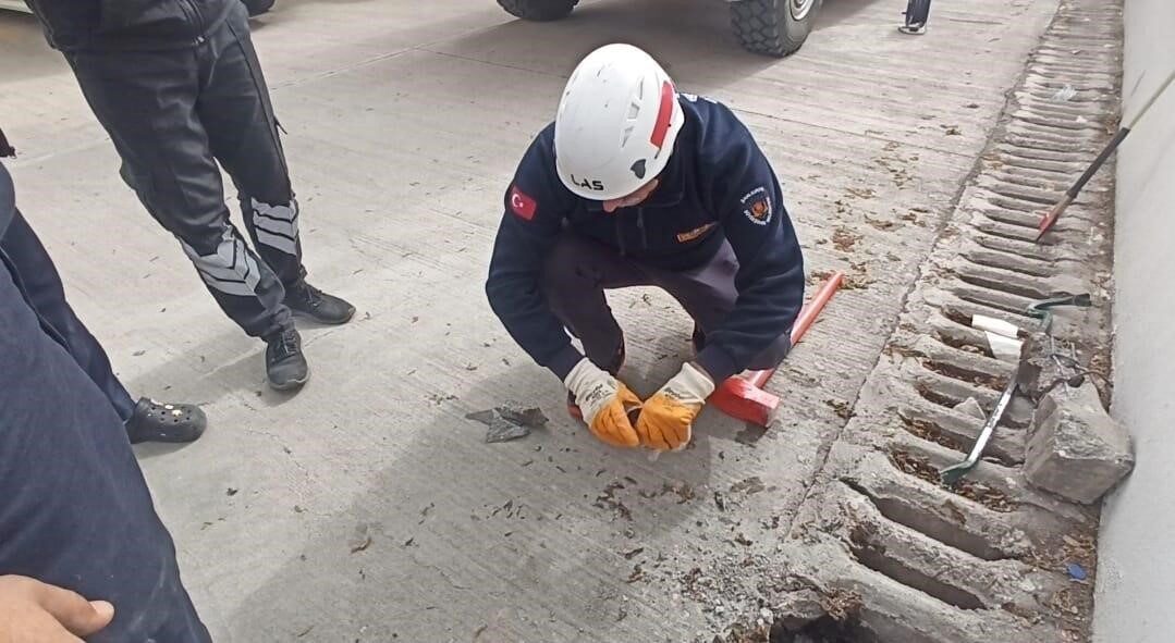 Şanlıurfa'nın Karaköprü ilçesinde bir yavru kedi, yağmur suyu mazgalına düştü.
