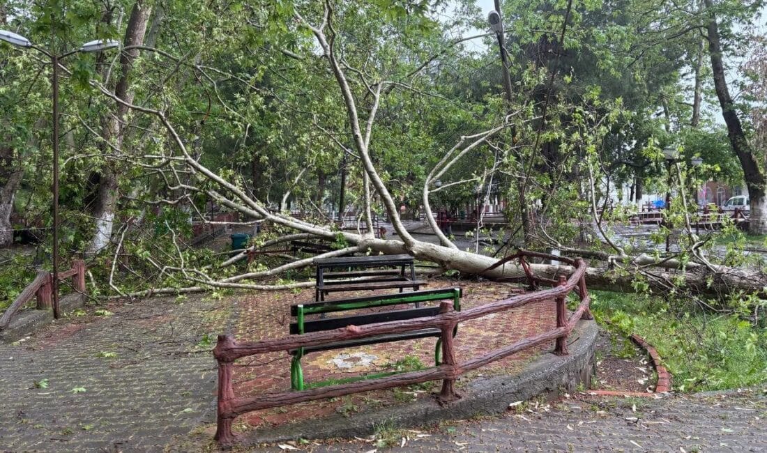 Osmaniye’de Şiddetli Yağış ve Fırtına, 150 Yıllık Çınar Ağaçlarının Gövdesini Kırdı Osmaniye'nin Bahçe ilçesindeki Uyuzluk Şifa Pınarı Mesire alanında, şiddetli yağmur