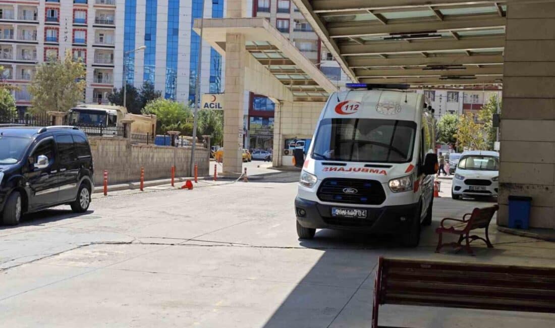 Siirt’te Atın Isırdığı 6 Yaşındaki Çocuk Ağır Yaralandı Siirt’in Köprübaşı köyünde, 6 yaşındaki Zerda Ç. evlerinin önündeki at