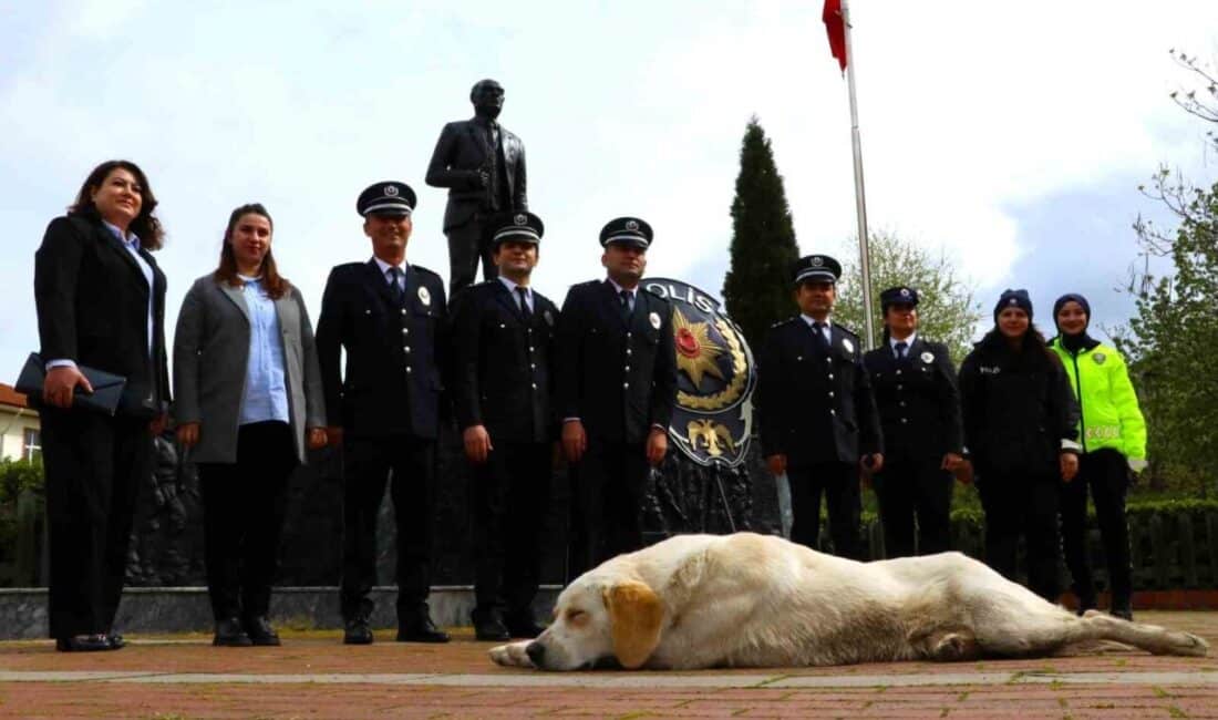 Amasya’da Polis Teşkilatı’nın 180. Yılı Coşkuyla Kutlandı, Sokak Köpeği Törene Renk Attı Amasya'nın Taşova ilçesinde Türk Polis Teşkilatı'nın 180. kuruluş yıl dönümü