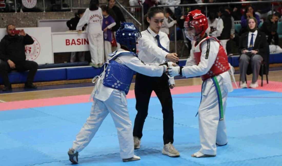 Düzce’de 23 Nisan TBMM Kupası Taekwondo Yarışmaları Gerçekleşti Düzce'de 23 Nisan TBMM Kupası Taekwondo müsabakaları sona erdi. 200