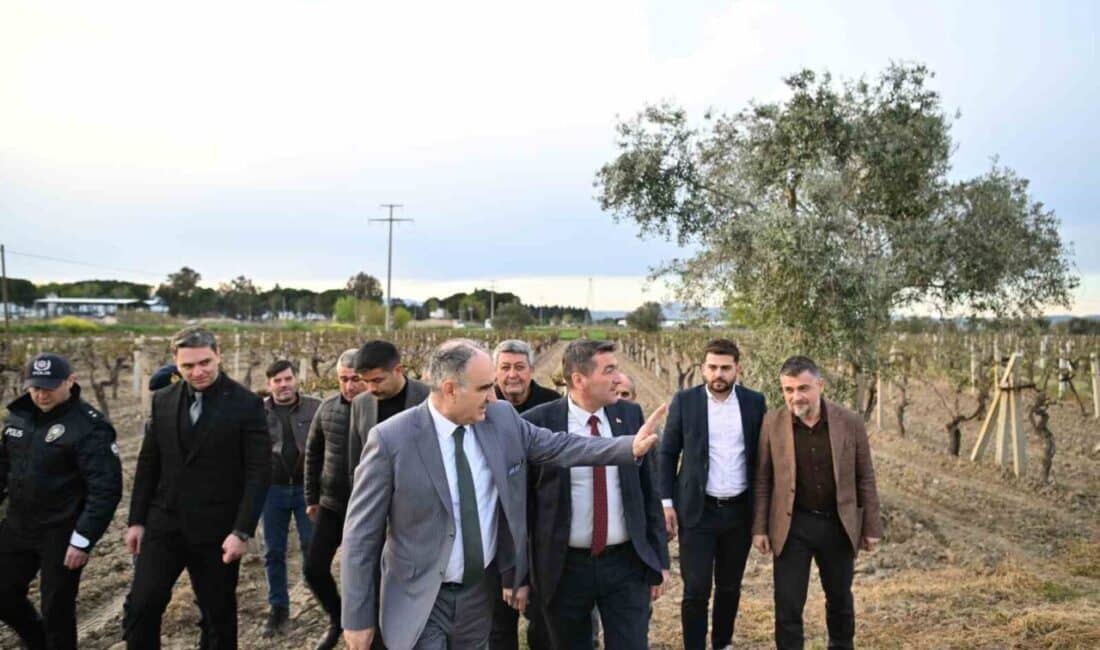 Manisa Valisi Vahdettin Özkan, 10 Nisan 2025'teki don afeti sonrası