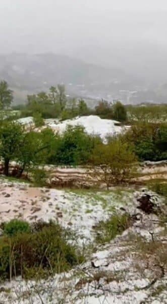 Ödemiş’te Sağanak Yağışın Ardından Dolu Yağışı Her Yeri Beyaza Bürüdü İzmir’in Ödemiş ilçesinde etkili olan sağanak ardından dolu yağışı etkili