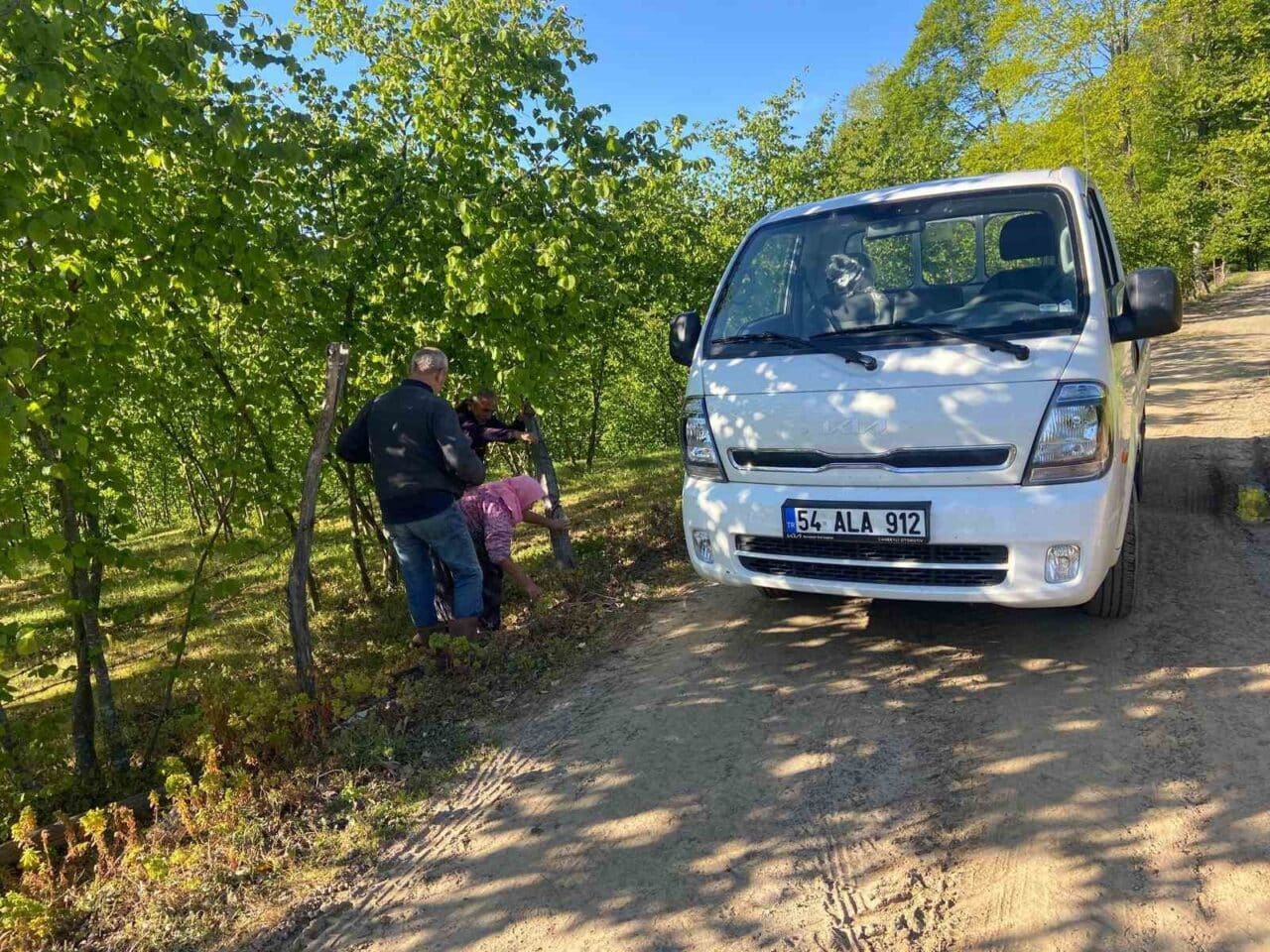 Sakarya'nın Kocaali ilçesinde 78 yaşındaki zihinsel engelli Z.Ç., evinden 3
