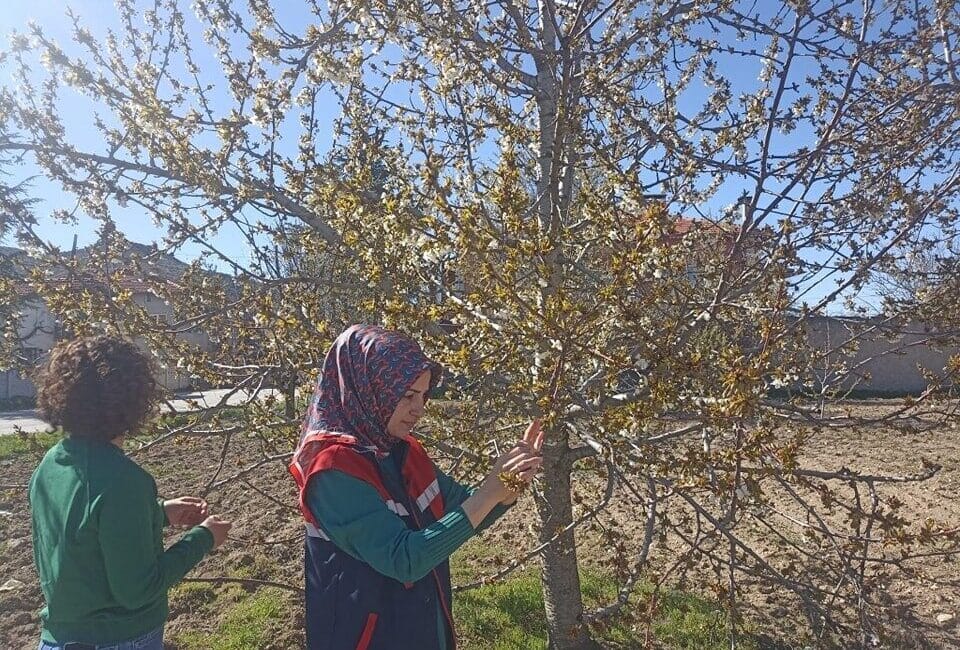 Afyonkarahisar’da zirai don nedeniyle tarım arazilerinde ciddi zararlar tespit ediliyor. Afyonkarahisar'da meydana gelen zirai don, tarım arazilerinde ciddi kayıplara yol