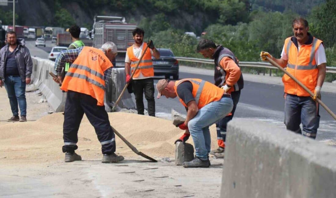 Sakarya Geyve’de Tırın Yoldan Çıkması Sonrası D-650 Ulaşımı İki Saat Kapandı Sakarya Geyve'de As Piliç'e ait bir tırın yaptığı kaza sonucunda