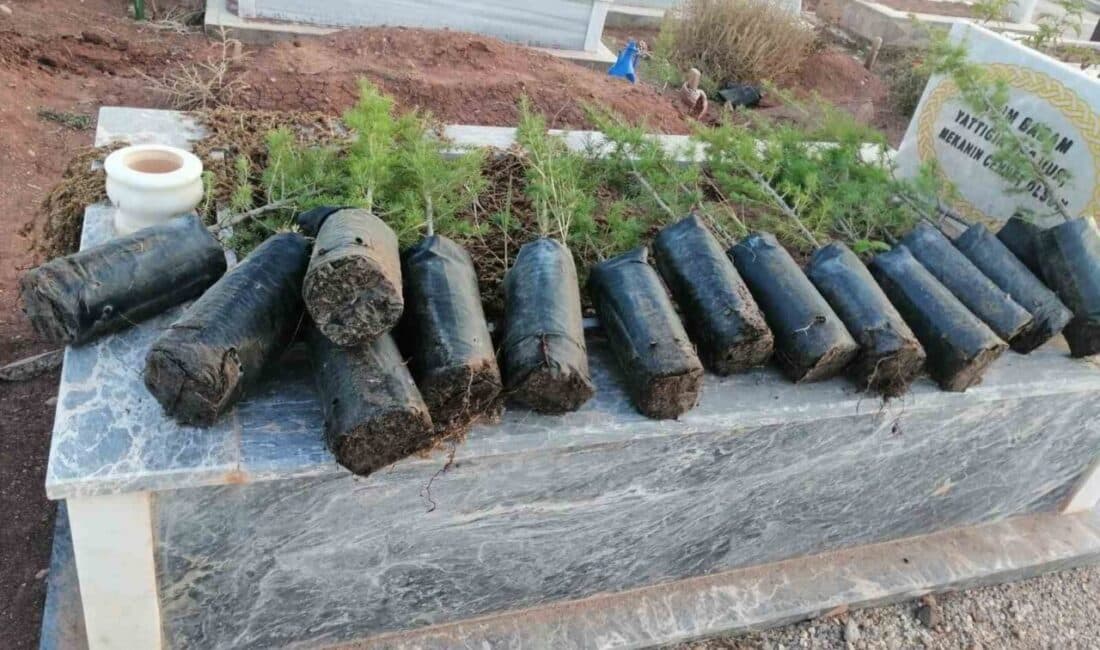 Eskişehir’de Anneler Günü’nde hayırseverler tarafından mezarlıklara fidan dikimi gerçekleştirildi. Eskişehir'de hayırseverler, Anneler Günü'nde İlmek İlmek Bin Minik Yürek Yardımlaşma