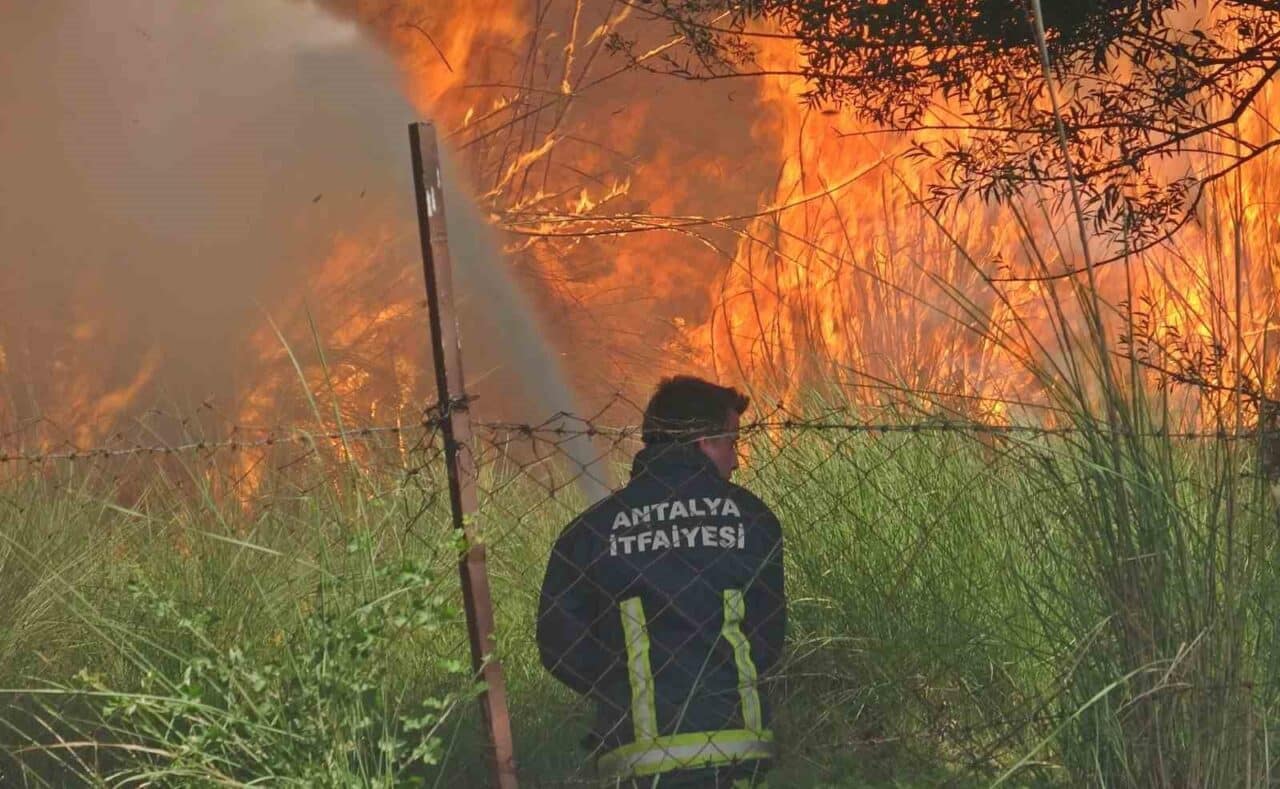 Antalya'nın Muratpaşa ilçesindeki kargılık alanda çıkan yangın, rüzgarın etkisiyle hızla