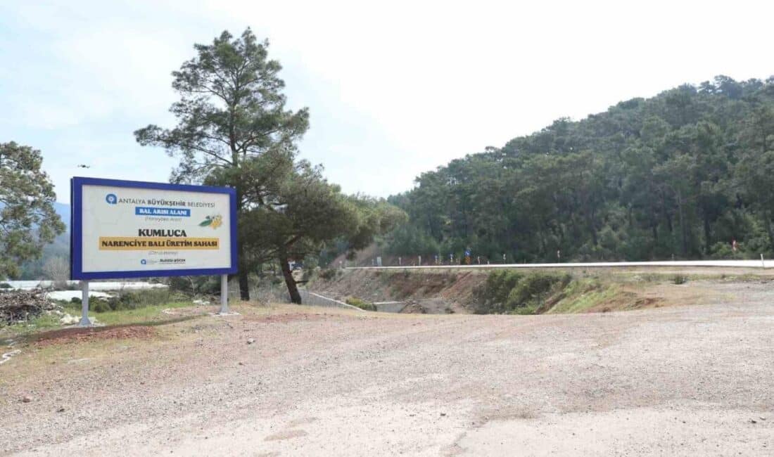Antalya Büyükşehir Belediyesi, narenciye balı için coğrafi işaret tescil süreci