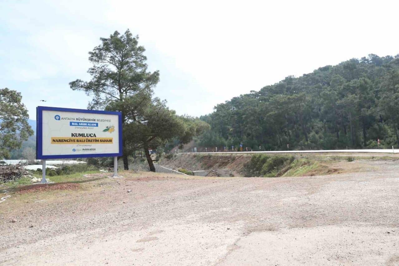 Antalya Büyükşehir Belediyesi, narenciye balı için coğrafi işaret tescil süreci