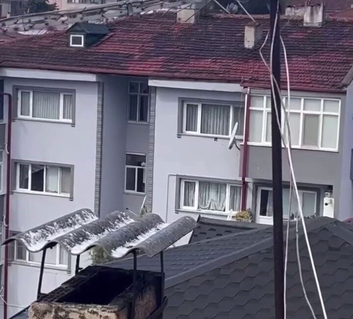 Erenler’de Anten Arasına Sıkışan Karga İtfaiye Ekiplerince Kurtarıldı Sakarya’nın Erenler ilçesinde, çatıda antene sıkışan karga itfaiye ekipleri tarafından