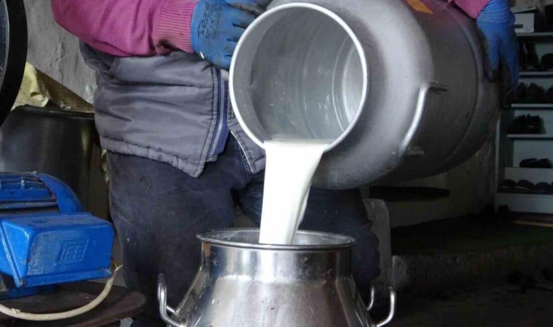 Ardahan'da süt üreticileri, artan maliyetlere rağmen mandıraların düşük fiyatlarla süt