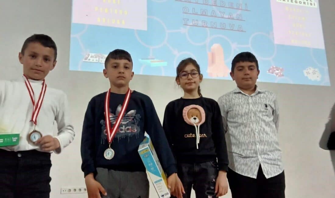Ardahan'daki Zeka ve Akıl Oyunları finalinde Çıldır İlkokulu öğrencileri dikkat