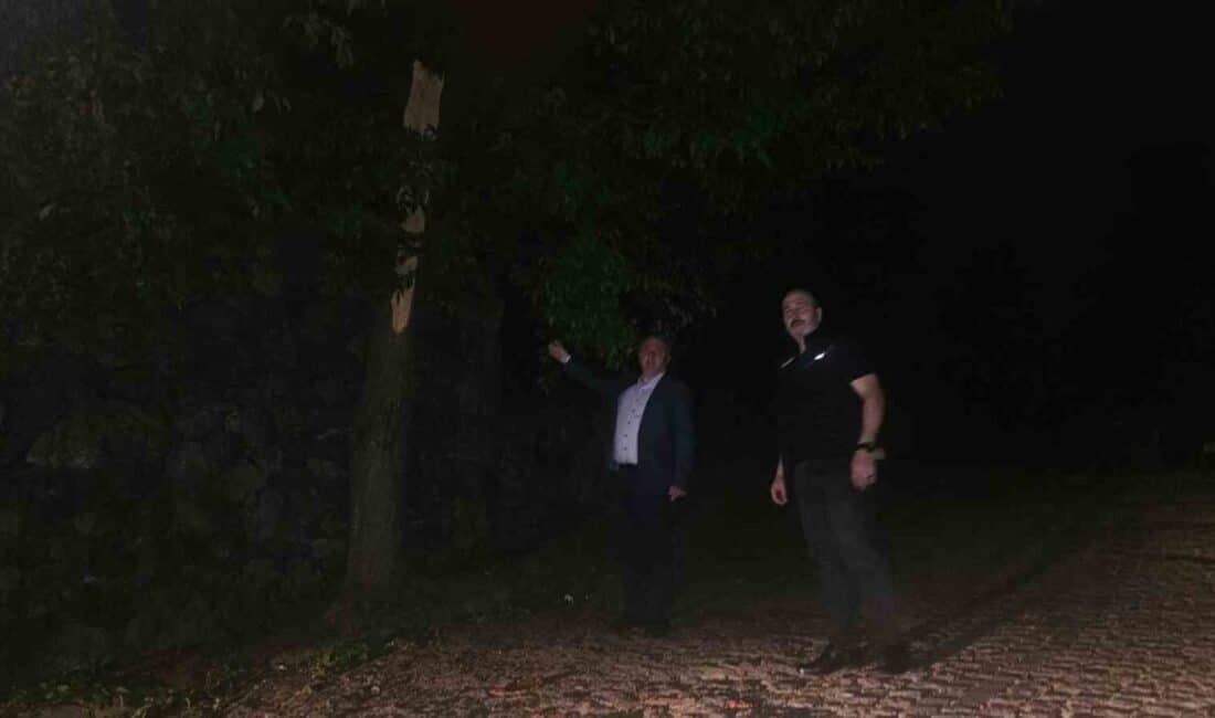 Artvin’in Arhavi, Hopa ve Kemalpaşa ilçelerinde etkili olan fırtına, ağaç