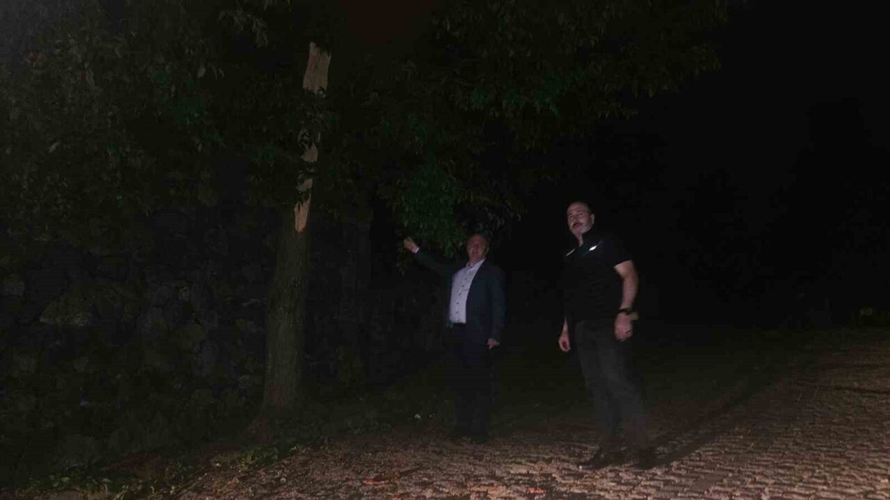 Artvin’in Arhavi, Hopa ve Kemalpaşa ilçelerinde etkili olan fırtına, ağaç