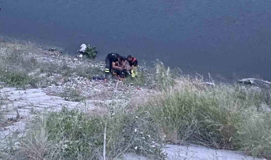 Hatay'ın Antakya ilçesi Kavaslı Mahallesi'nde Asi Nehri'ne düşen bir vatandaş,