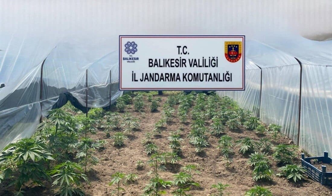 Balıkesir İl Jandarma Komutanlığı, 10 ilçede düzenledikleri operasyonlarla 50 şüpheliyi