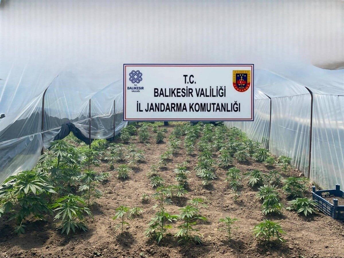 Balıkesir İl Jandarma Komutanlığı, 10 ilçede düzenledikleri operasyonlarla 50 şüpheliyi