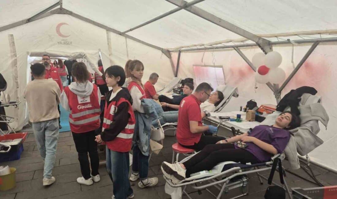 Bartın'da "Damar yolundan hayat yoluna: Birbirimize candan bağlıyız" temasıyla düzenlenen