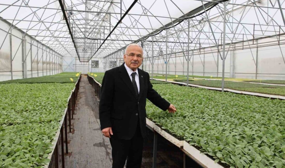 Ordu Büyükşehir Belediye Başkanı Dr. Mehmet Hilmi Güler, son 5