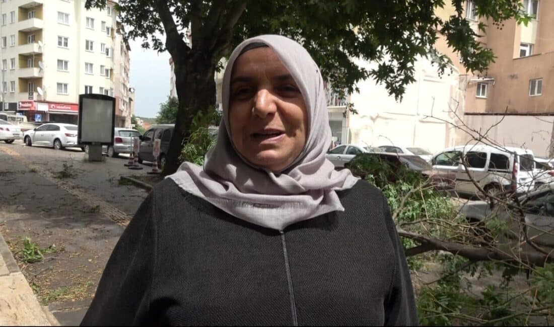 Bilecik'te meydana gelen kısa süreli fırtına, çatıları uçurup ağaçları devirdi.