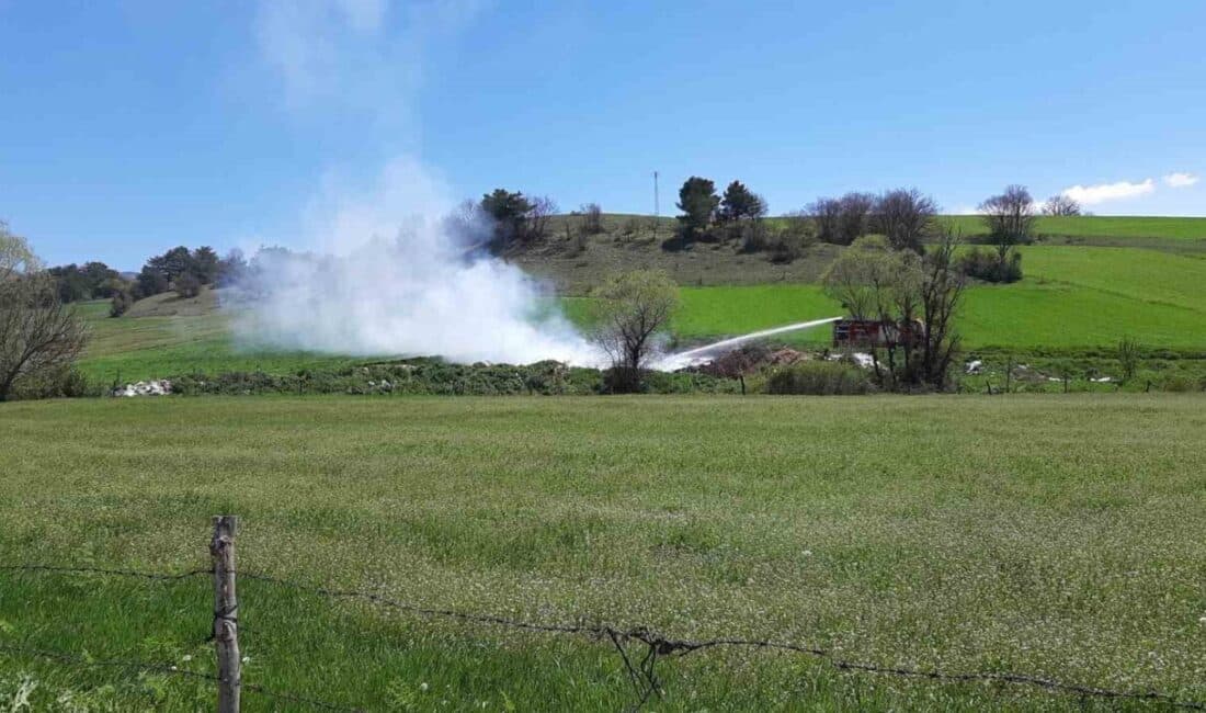 Bolu’nun Mudurnu ilçesindeki Örencik köyünde muhtar İdris Balta’nın ihbarıyla söndürülen