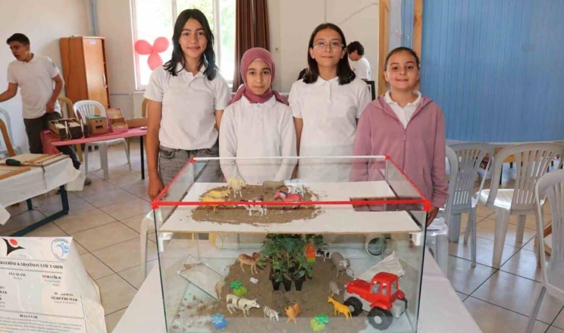 Bozdoğan Fatih Ortaokulu ve Anadolu Lisesi öğrencileri, Bilim Fuarı Proje