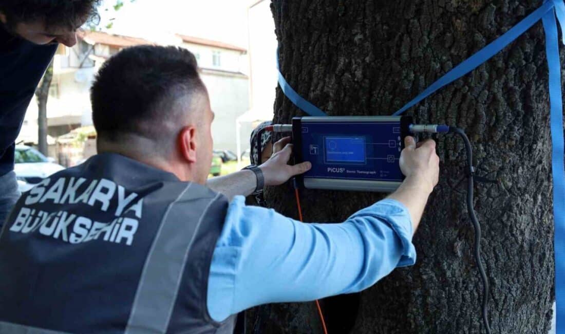 Sakarya Büyükşehir Belediyesi, "Elektrik Sensörlü Sonik Ağaç Tomografi Cihazı" edinerek