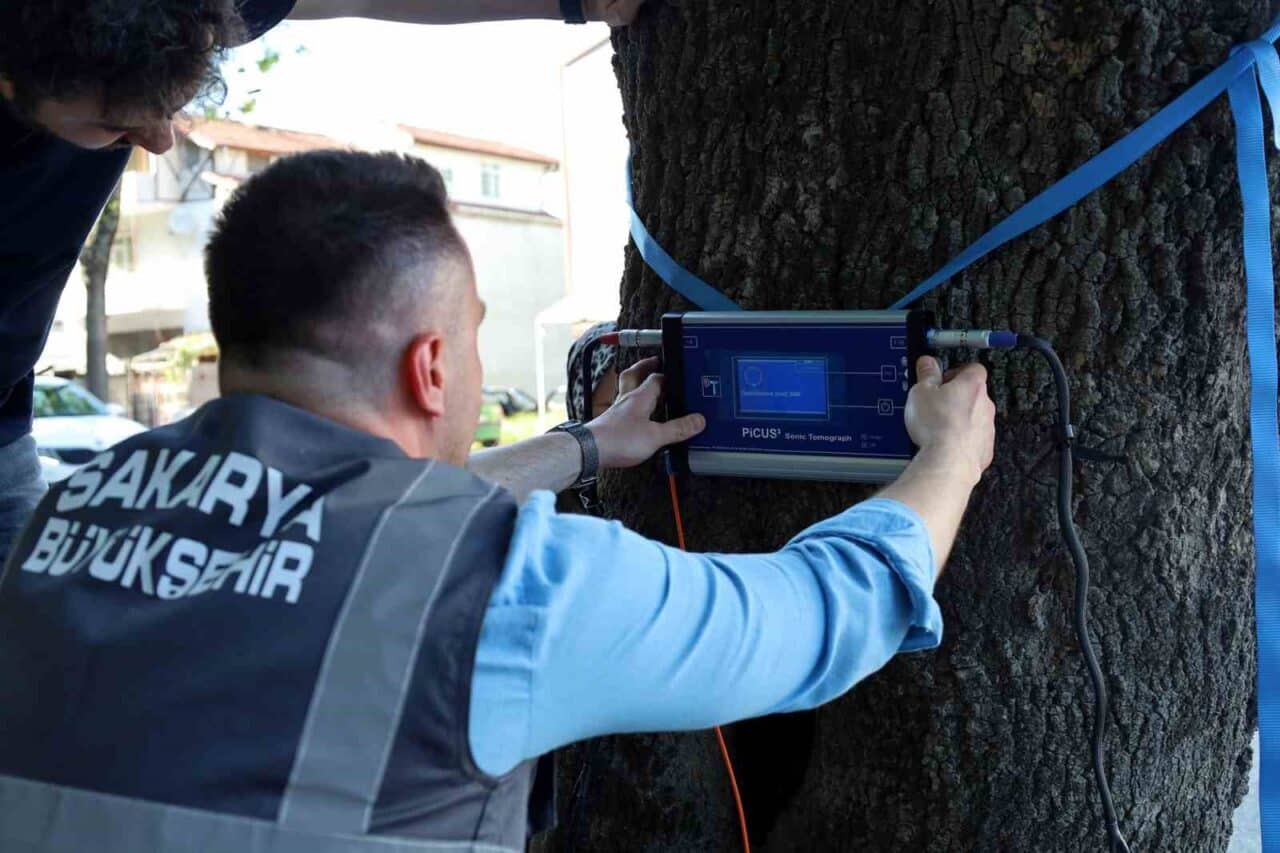 Sakarya Büyükşehir Belediyesi, "Elektrik Sensörlü Sonik Ağaç Tomografi Cihazı" edinerek
