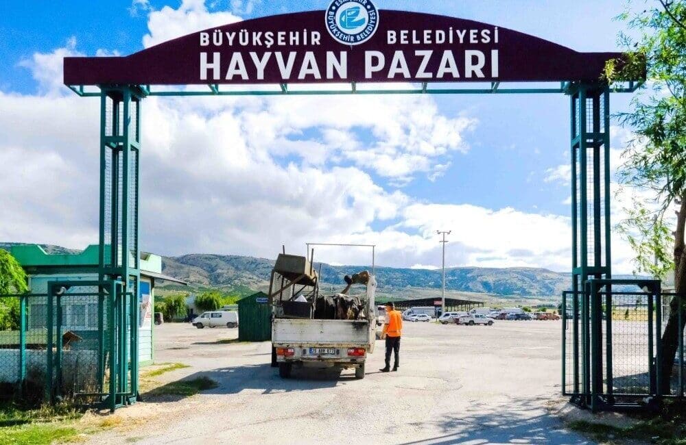 Eskişehir Büyükşehir Belediyesi'nin Hayvan Pazarı'nda kurbanlık satışları için yer kiralama