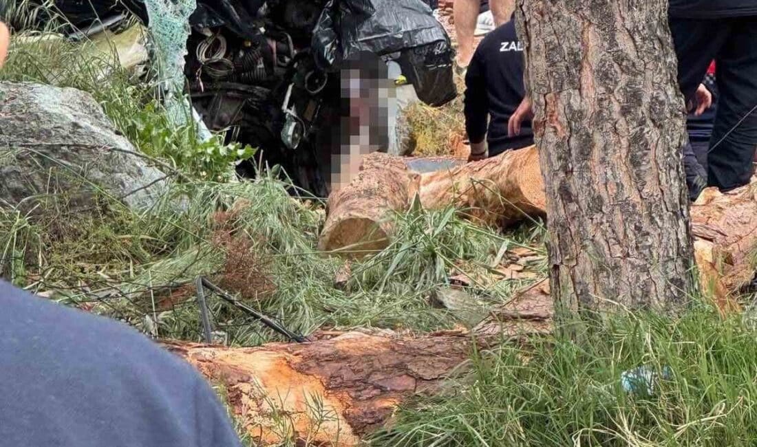Çanakkale'de Truva Turizm'e ait yolcu otobüsü, tomruk yüklü bir kamyon