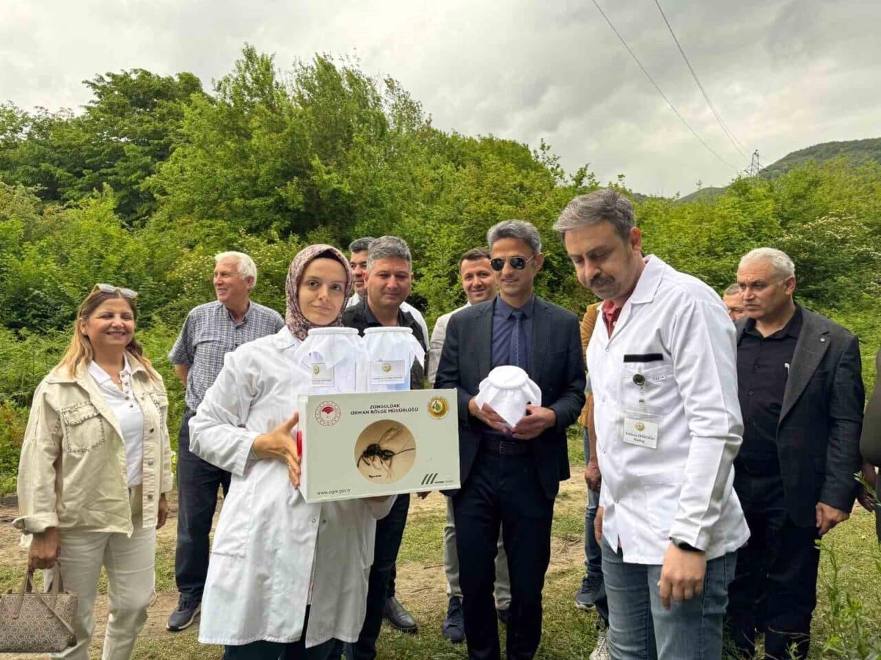 Zonguldak'ın Çaycuma ilçesinde kestane gal arısıyla mücadele için biyolojik yöntemler