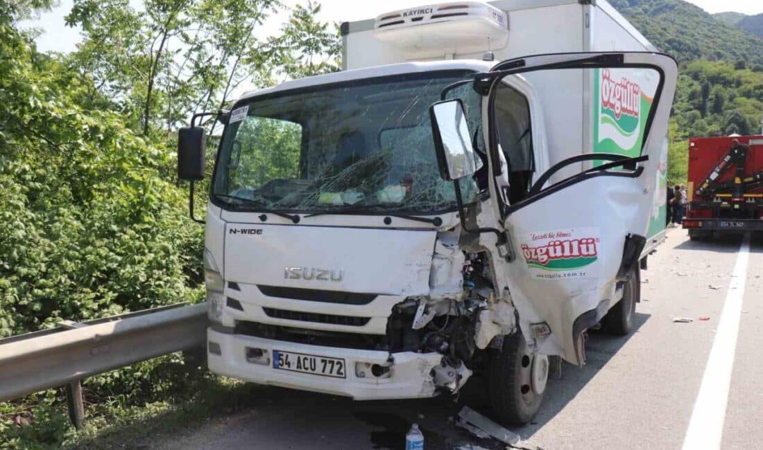 Sakarya Geyve'de D-650 kara yolunda, N.C. (54) yönetimindeki kamyonet, T.T.